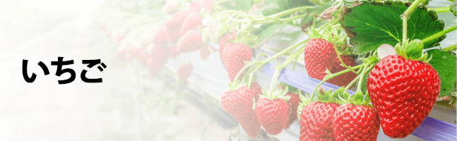 いちご