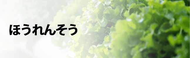ほうれんそう