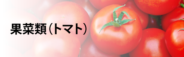 果菜類（トマト）