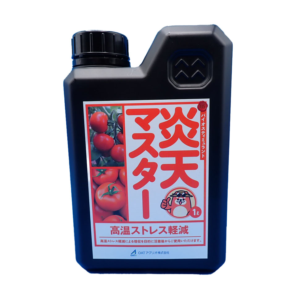 炎天マスター