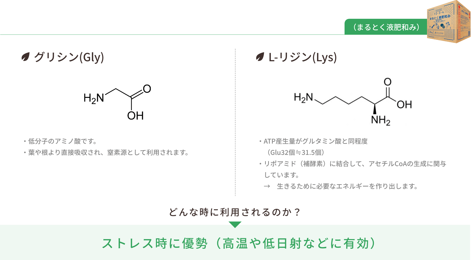 アミノ酸が配合（2種類）されています。グリシン(Gly)：低分子のアミノ酸です。／葉や根より直接吸収され、窒素源として利用されます。｜L-リジン(Lys)：ATP産生量がグルタミン酸と同程度（Glu32個≒31.5個）／リポアミド（補酵素）に結合して、アセチルCoAの生成に関与しています。→　生きるために必要なエネルギーを作り出します。｜ストレス時に優勢（高温や低日射などに有効）