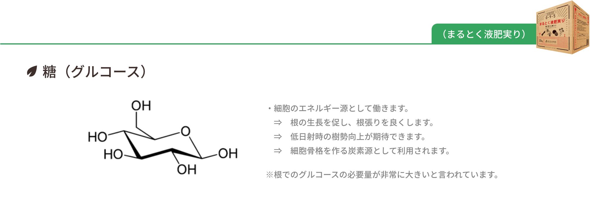 糖（グルコース）は細胞のエネルギー源として以下のように働きます。｜根の生長を促し、根張りを良くします。／低日射時の樹勢向上が期待できます。／細胞骨格を作る炭素源として利用されます。