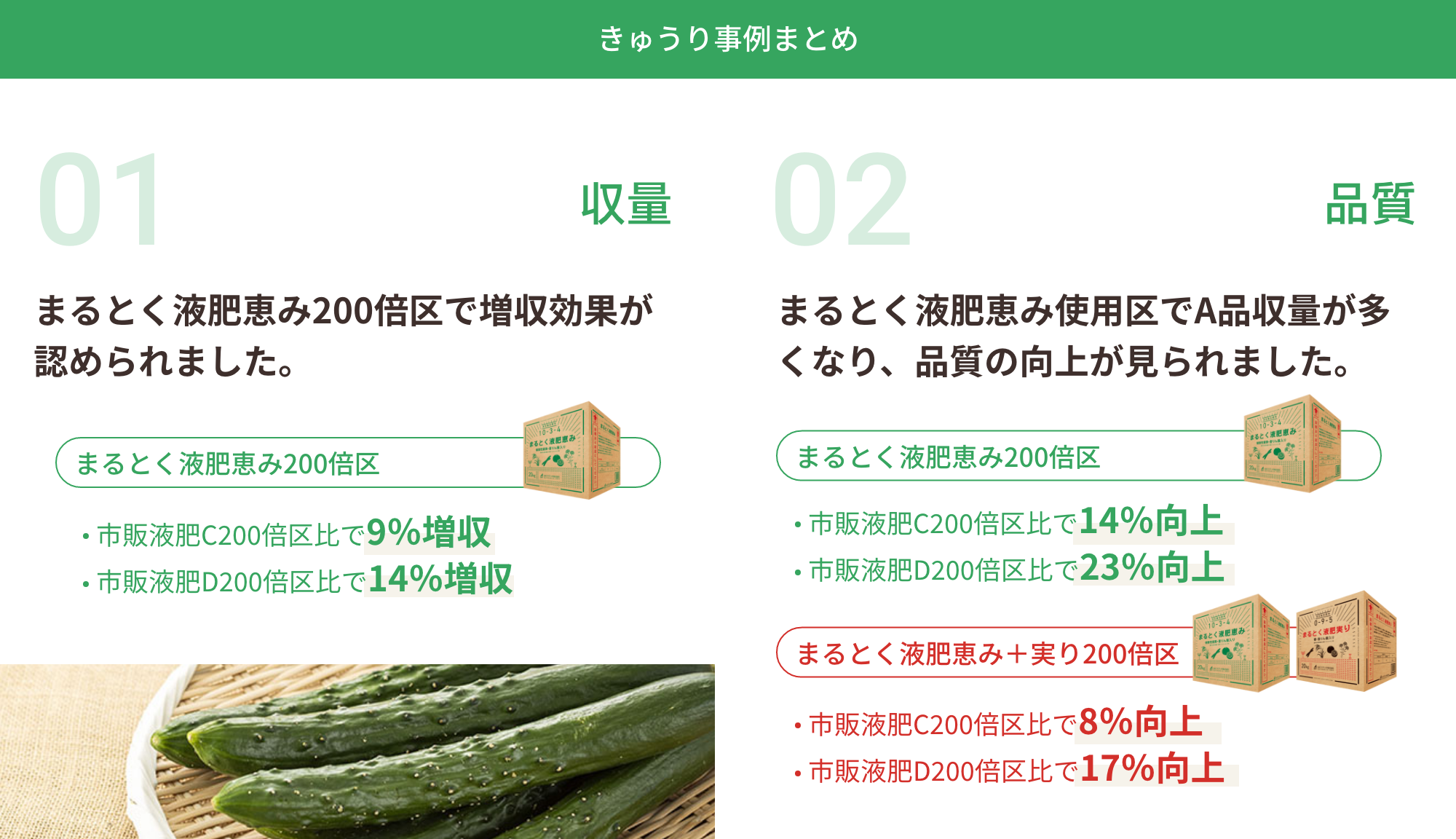 収量：まるとく液肥恵み200倍区で増収効果が認められました。まるとく液肥恵み200倍区（市販液肥C200倍区比で9％増収、市販液肥D200倍区比で14％増収）｜品質：まるとく液肥恵み使用区でA品収量が多くなり、品質の向上が見られました。まるとく液肥恵み200倍区（市販液肥C200倍区比で14％向上、市販液肥D200倍区比で23％向上。）まるとく液肥恵み＋実り200倍区（市販液肥C200倍区比で8％向上、市販液肥D200倍区比で17％向上）