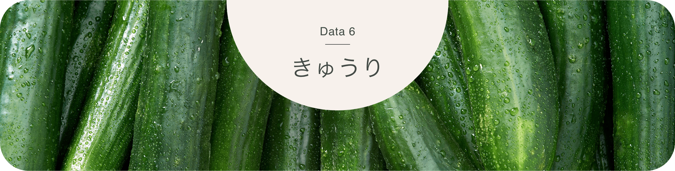 きゅうり