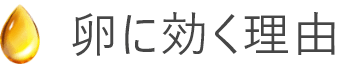 卵に効く理由