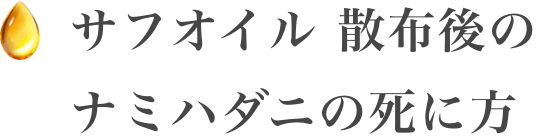 資料・実験名のテキスト