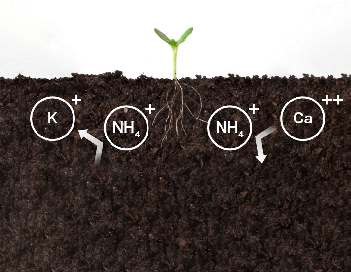 画像:養液土耕肥料やタンクミックスA&B