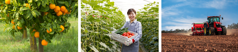 防除技術（植物の薬）