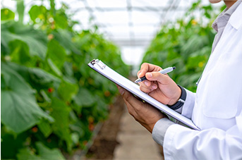 市場・製品開発部