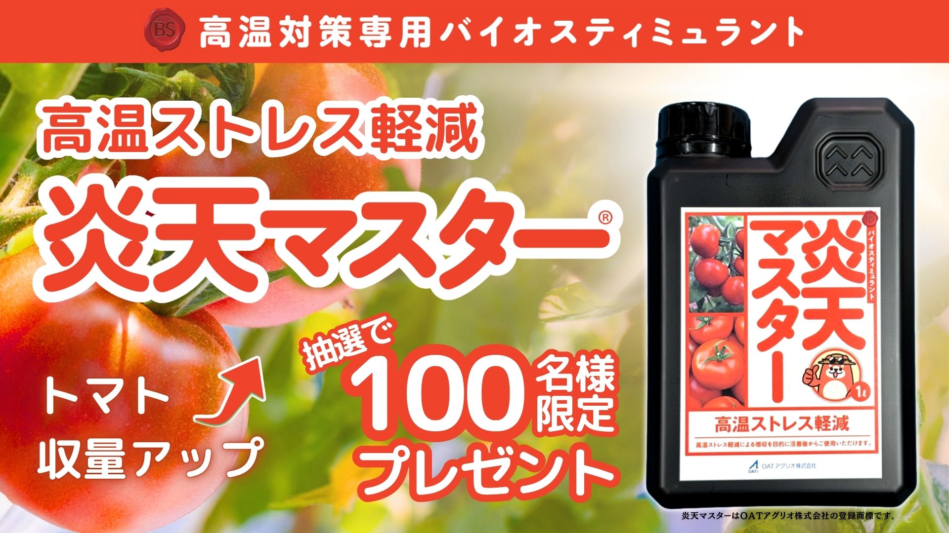 炎天マスターのキャンペーン案内画像