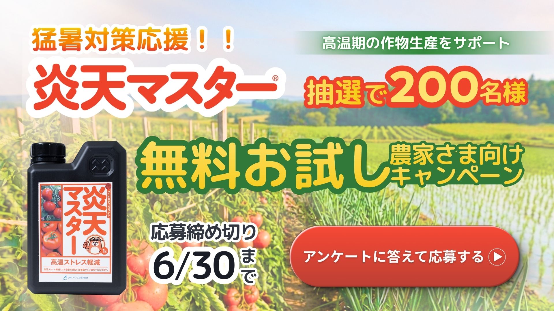 炎天マスターのキャンペーン案内画像
