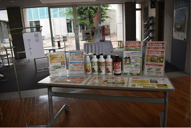 展示コーナー①